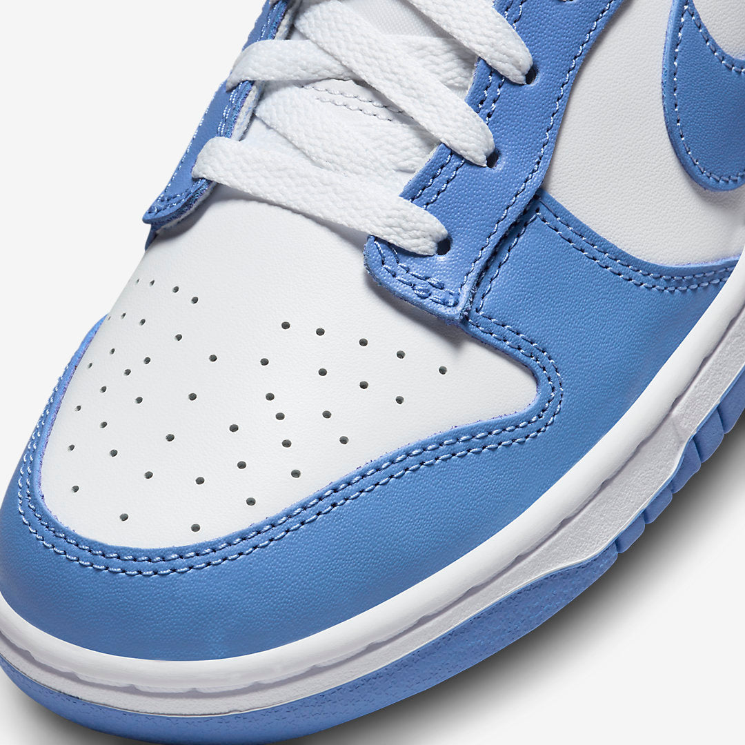 Nike Dunk Polar Blue